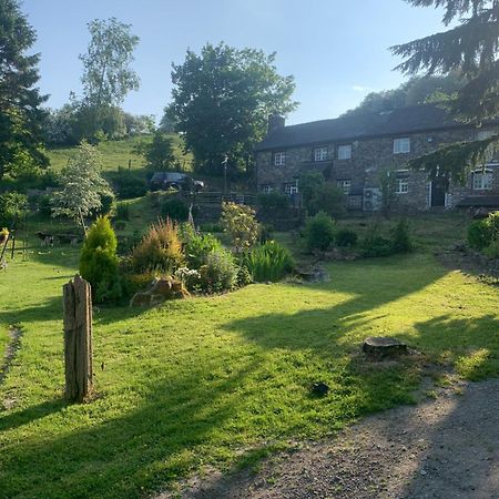 Apartament Pant-Y-Creolen Llanfyllin Zewnętrze zdjęcie